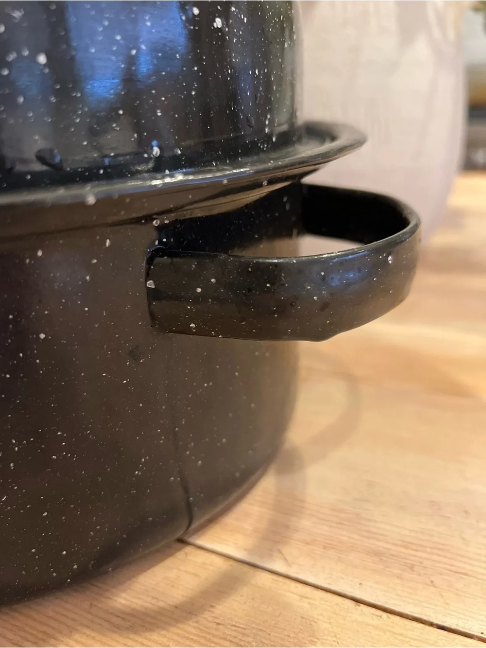 Vintage Speckled Black 16” Enamel Roasting Pan with Cover & Juice Grooves